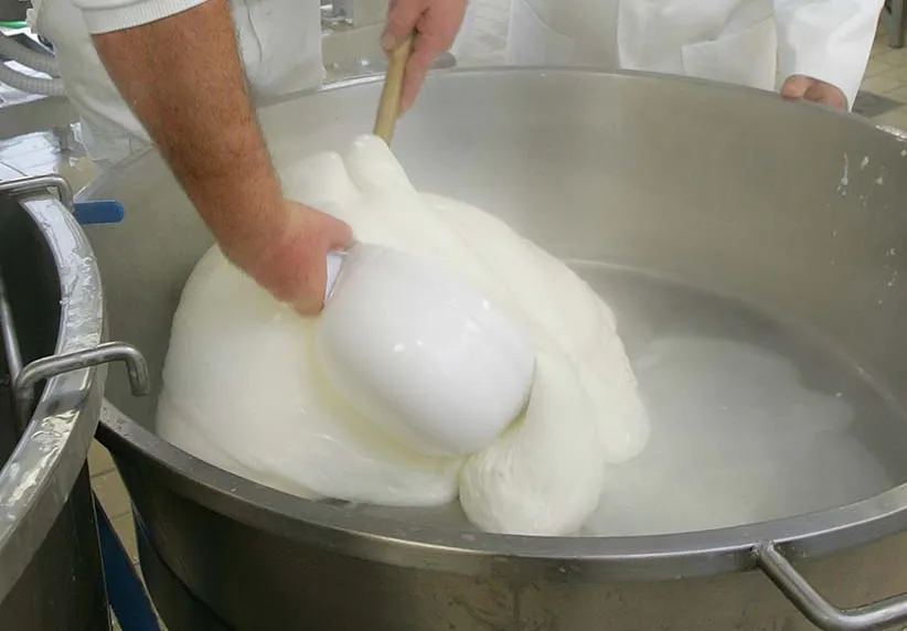 fase di lavorazione della mozzarella